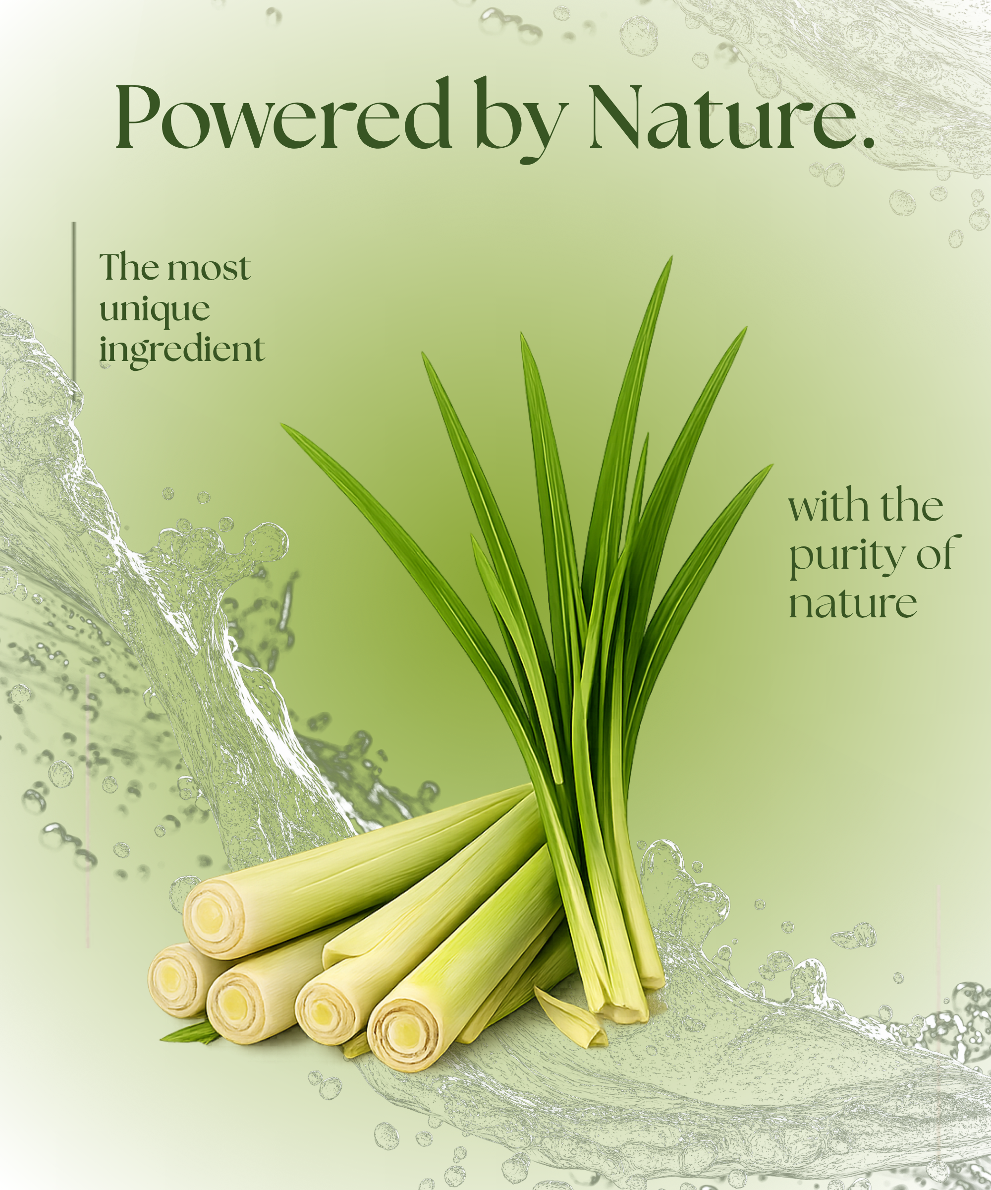Lemongrass Face Wash | Refreshing Herbal Cleanser for Fresh, Oil-Free Skin - Image 4