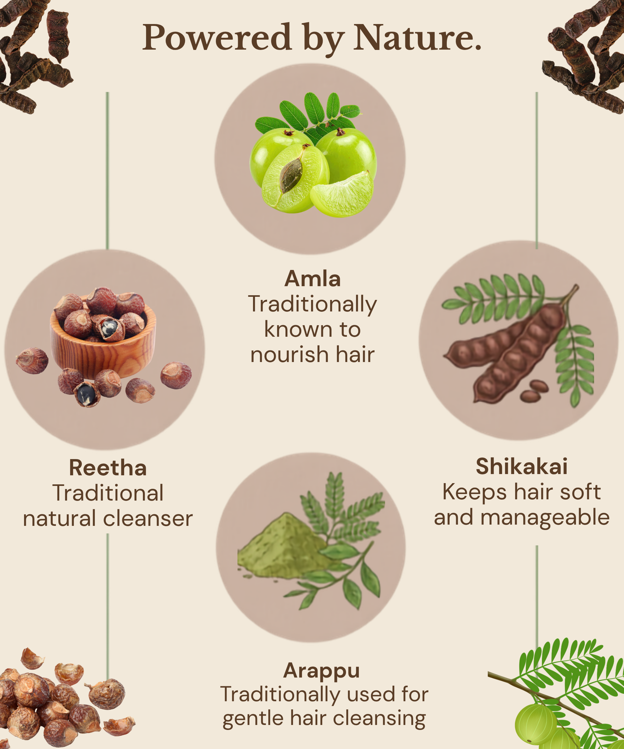 Reetha Amla Shikakai Shampoo | Nourishing Herbal Shampoo for Strong, Voluminous Hair - Image 5